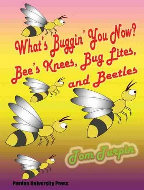 What's Buggin' You Now?