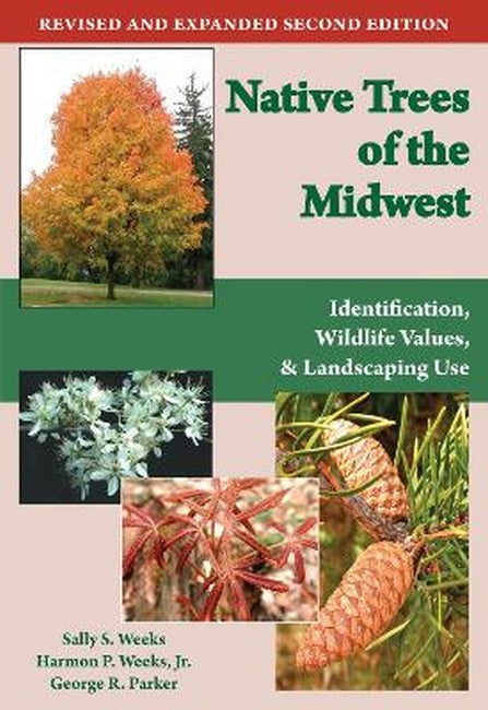 Native Trees of the Midwest