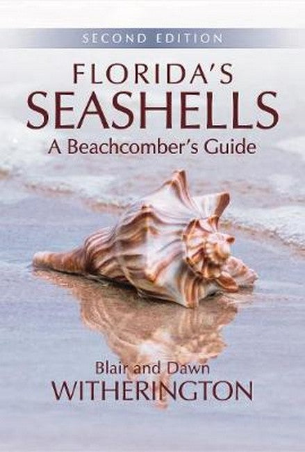 Florida's Seashells 2/e