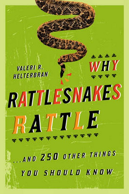 Why Rattlesnakes Rattle