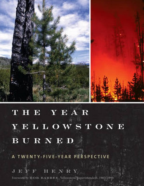 Year Yellowstone Burned