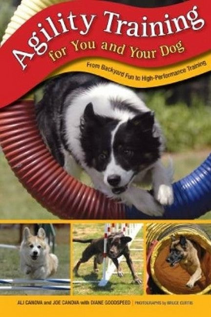 Agility Training for You and Your Dog