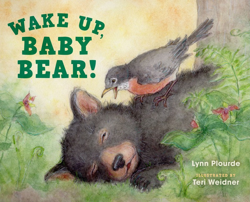 Wake Up, Baby Bear!