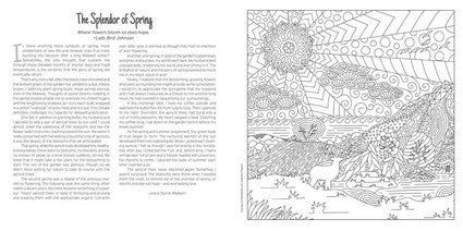 Chicken Soup for the Soul: Angels and Miracles Coloring Book