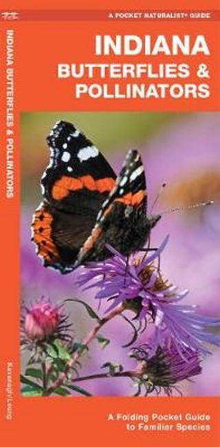 Indiana Butterflies & Pollinators