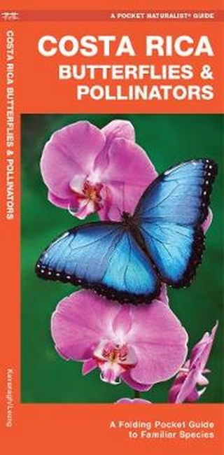 Costa Rica Butterflies & Pollinators 2/e