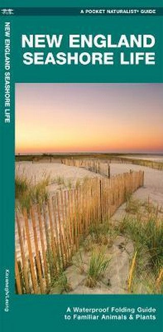 New England Seashore Life 2/e