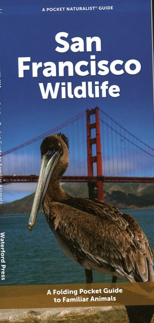 San Francisco Wildlife