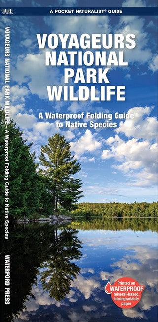 Voyageurs National Park Wildlife