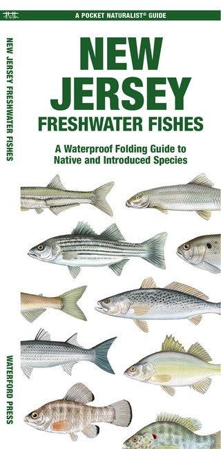 New Jersey Freshwater Fishes