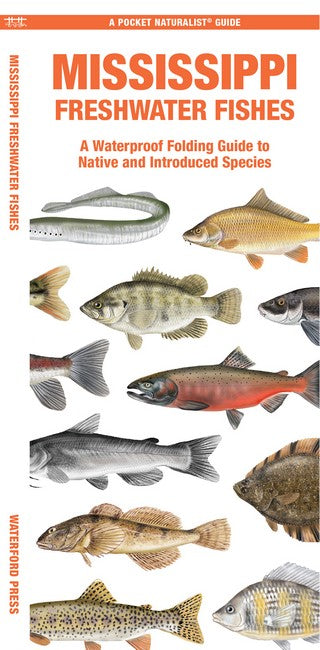 Mississippi Freshwater Fishes