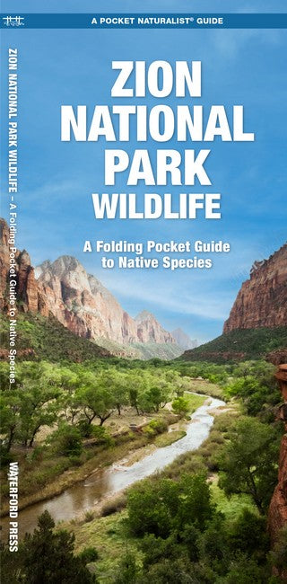 Zion National Park Wildlife