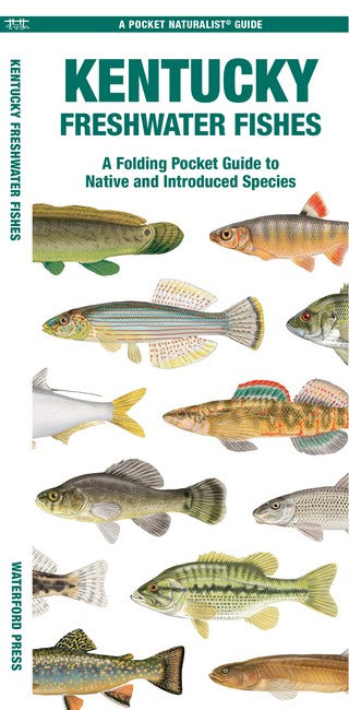 Kentucky Freshwater Fishes