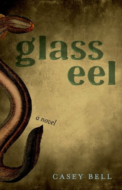 Glass Eel