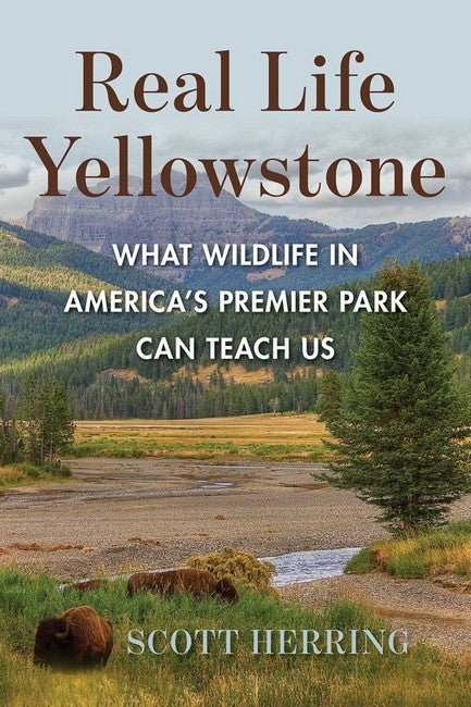 Real Life Yellowstone