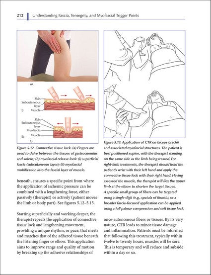 Understanding Fascia, Tensegrity, and Myofascial Trigger Points