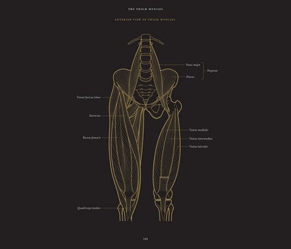 Anatomy in Black 2/e