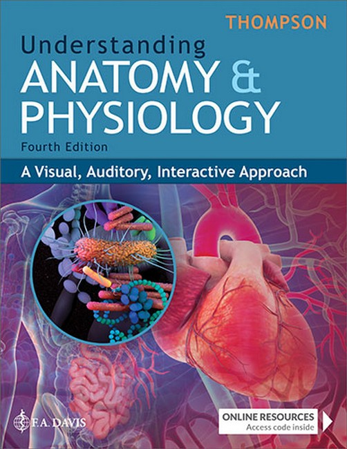 Understanding Anatomy & Physiology 4/e