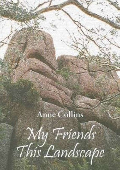 My Friends This Landscape