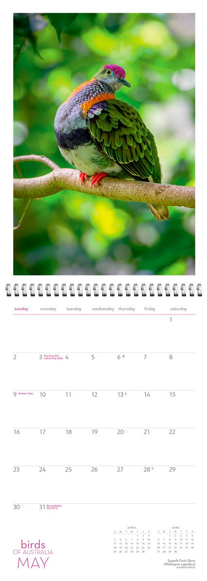 2027 Birds of Australia Wall Calendar