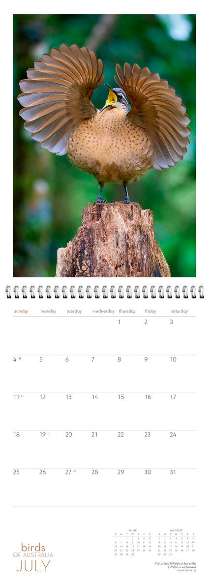 2027 Birds of Australia Wall Calendar