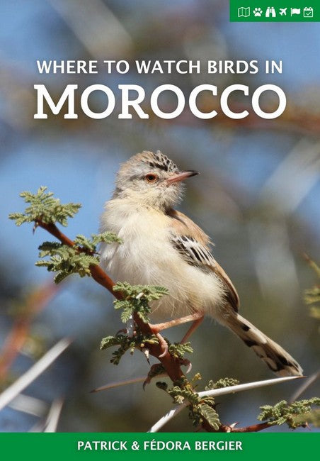 Where to Watch Birds in Morocco 2/e