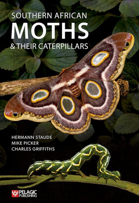 Southern African Moths and their Caterpillars