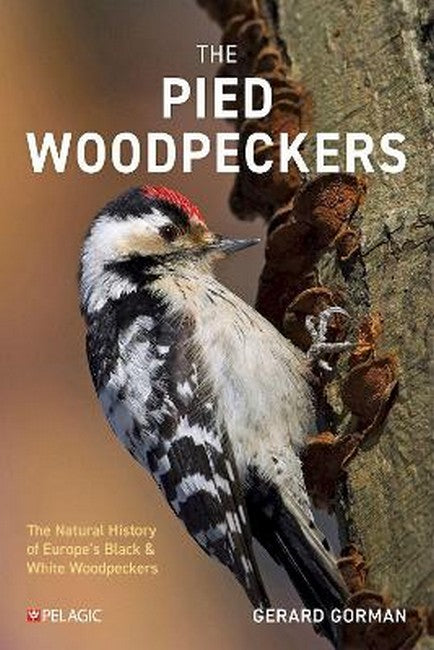 The Pied Woodpeckers