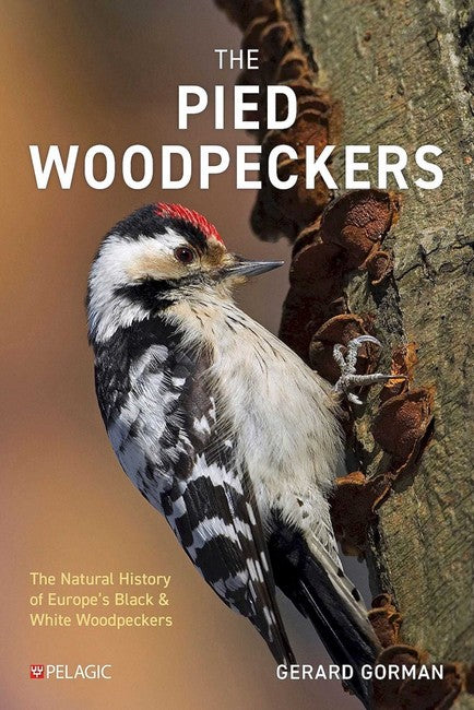 The Pied Woodpeckers