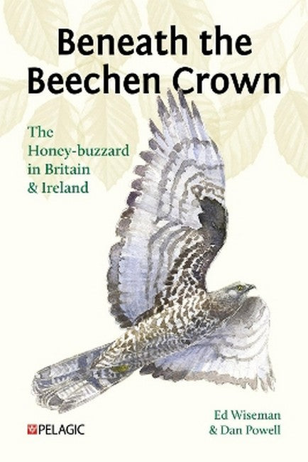 Beneath the Beechen Crown