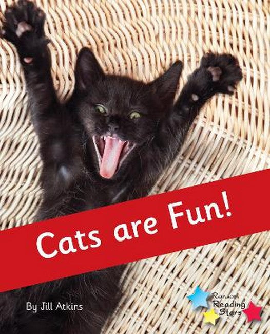 Cats are Fun!