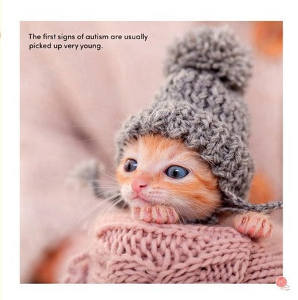 All Cats Are on the Autism Spectrum