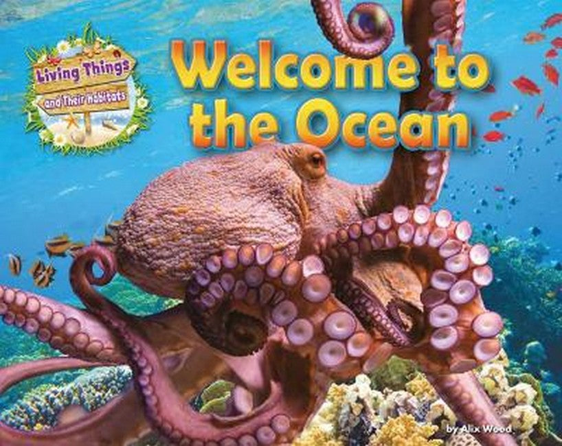 Welcome to the Ocean