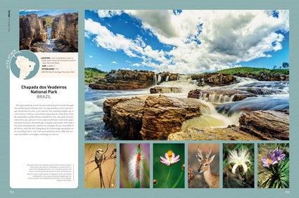 Rough Guides Wild Earth