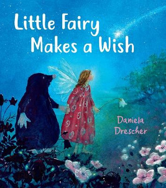 Little Fairy Makes a Wish 2/e