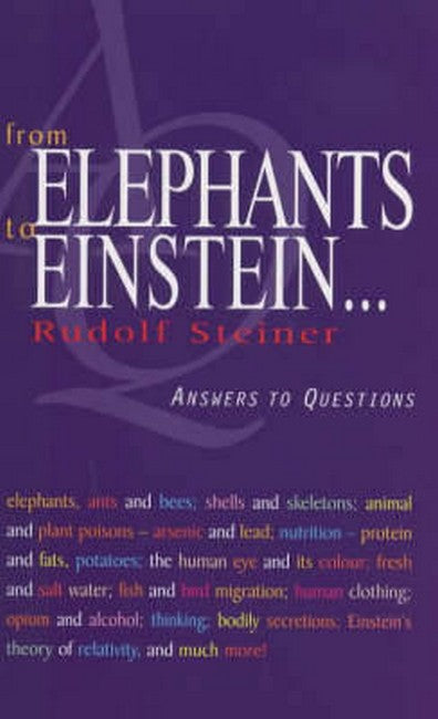 From Elephants to Einstein: