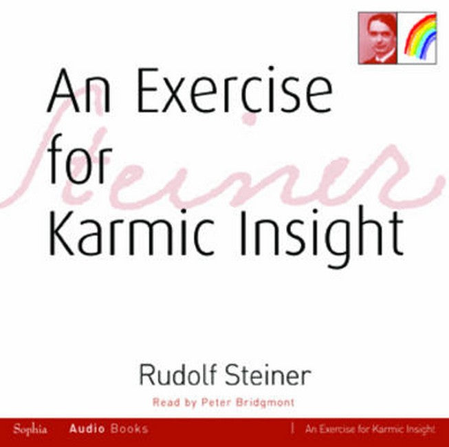 Exercise for Karmic Insight