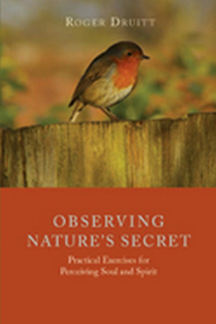 Observing Nature's Secret