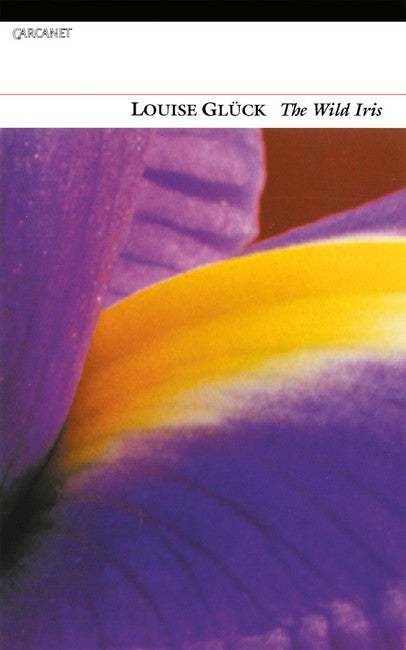 Wild Iris