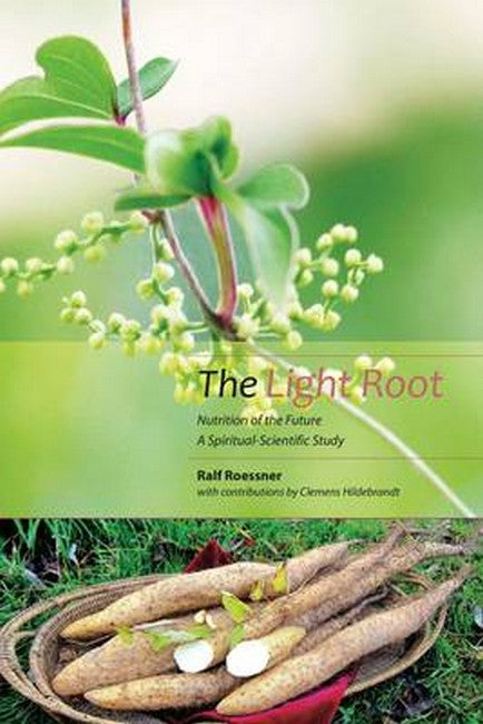 Light Root: