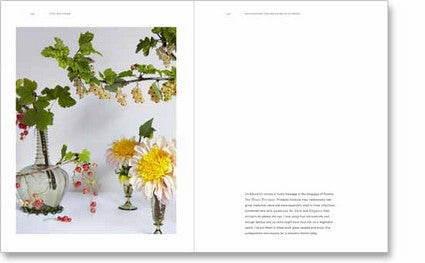 Discovering the Meaning of Flowers