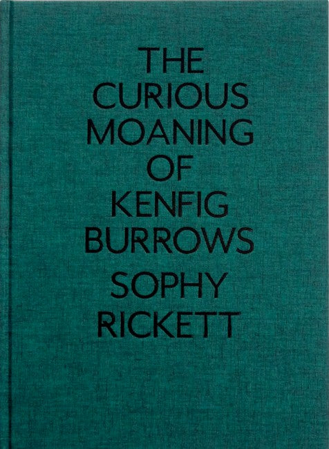 The Curious Moaning of Kenfig Burrows