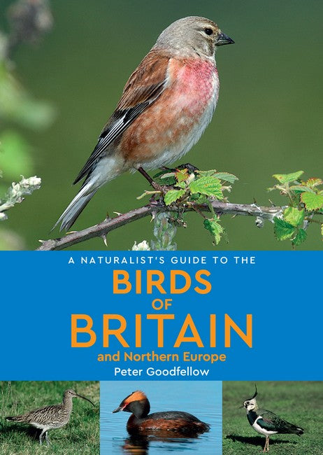 A Naturalist's Guide to the Birds of Britain and Northern Europe (2nd edition) 2/e