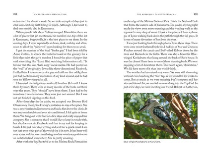 An Australian Birding Year