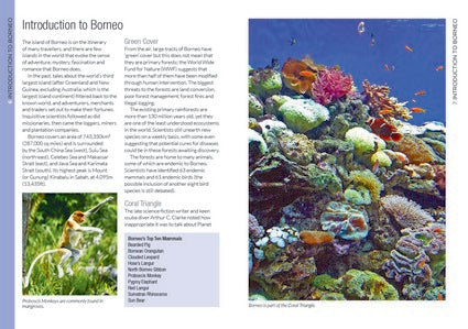Blue Skies Travel Guide: Borneo