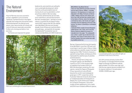 Blue Skies Travel Guide: Borneo