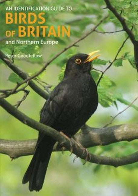 An Identification Guide to Birds of Britain and Northern Europe 2/e