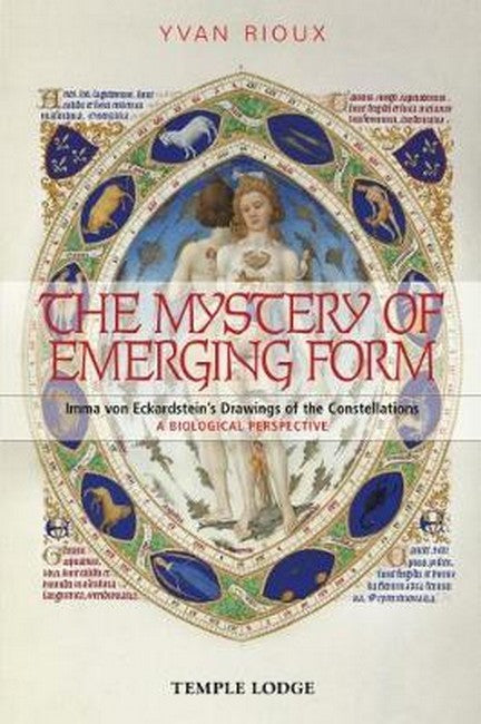 Mystery of Emerging Form Imma von Eckardstein's Drawings of the Constell