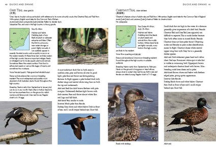 A Photographic Field Guide to Birds of Canberra & the High Country (2nd ed) 2/e