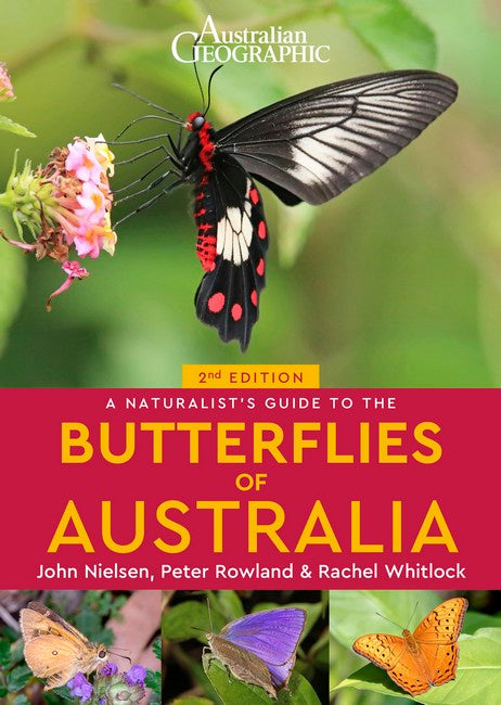 Australian Geographic's A Naturalist's Guide to the Butterflies of